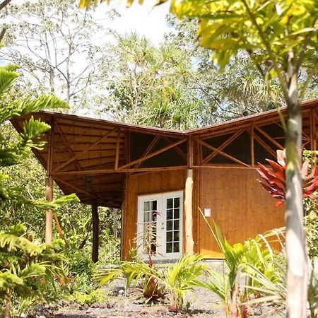 Villa Kalani Oceanside Retreat Pahoa Esterno foto