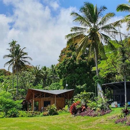 Villa Kalani Oceanside Retreat Pahoa Esterno foto