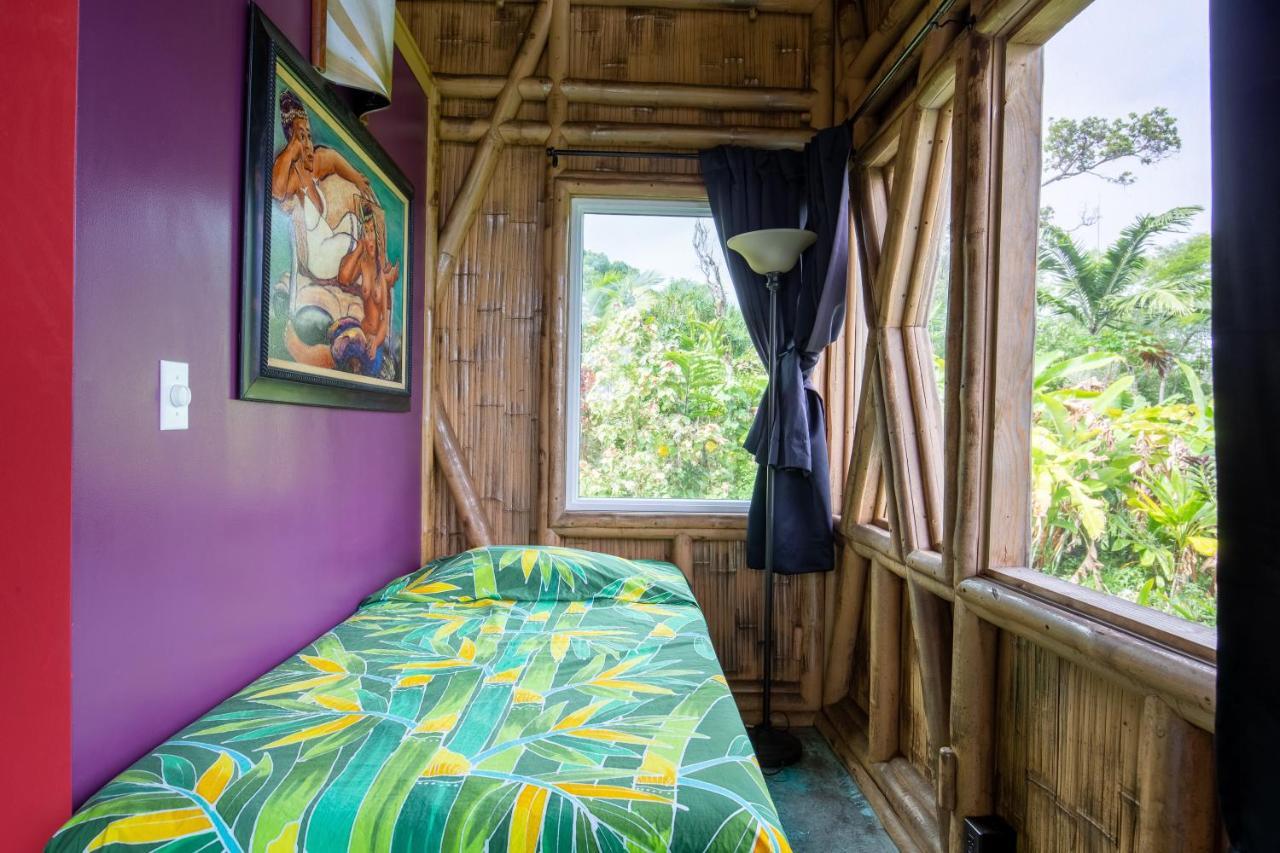 Villa Kalani Oceanside Retreat Pahoa Esterno foto