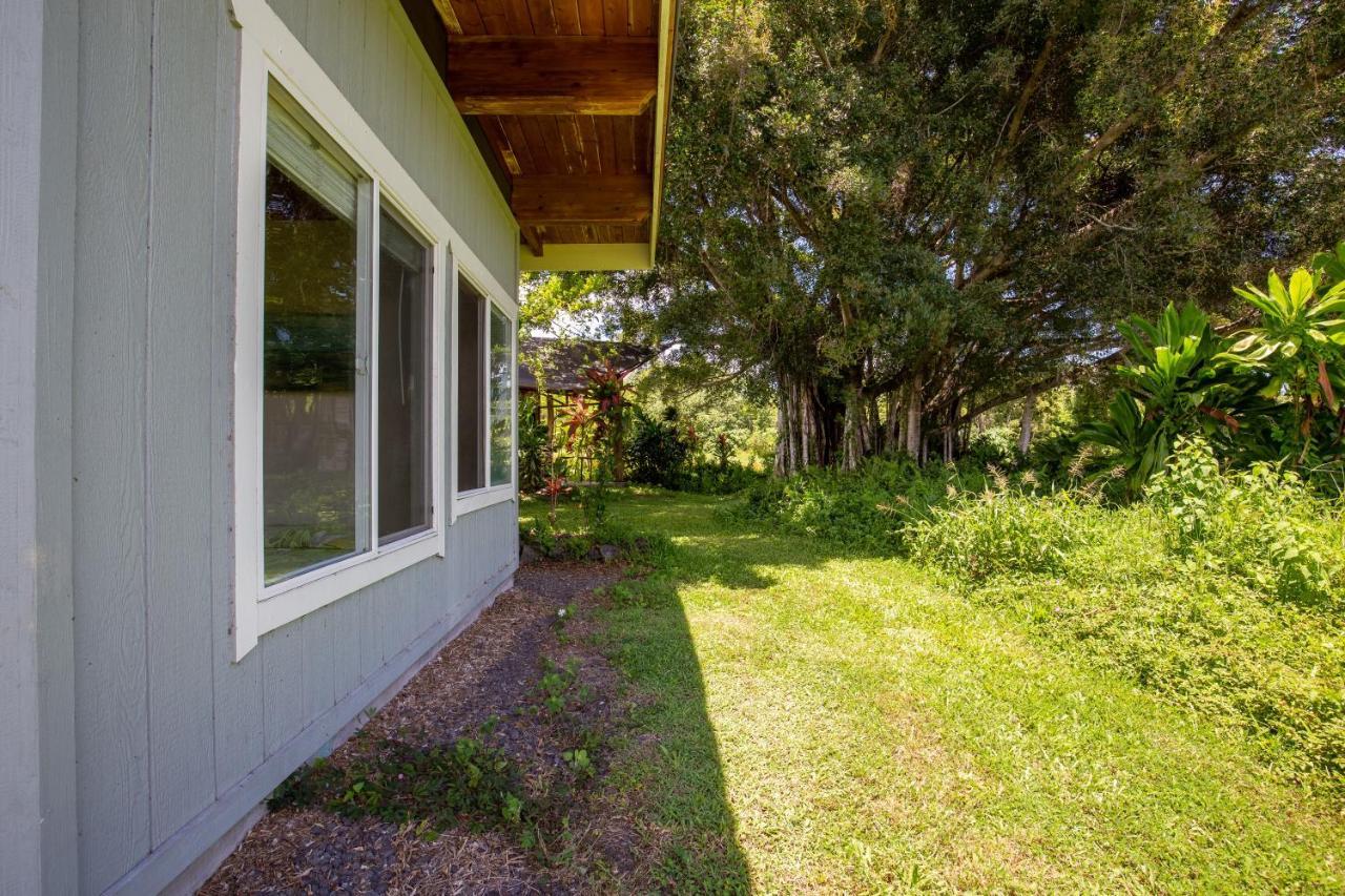Villa Kalani Oceanside Retreat Pahoa Esterno foto