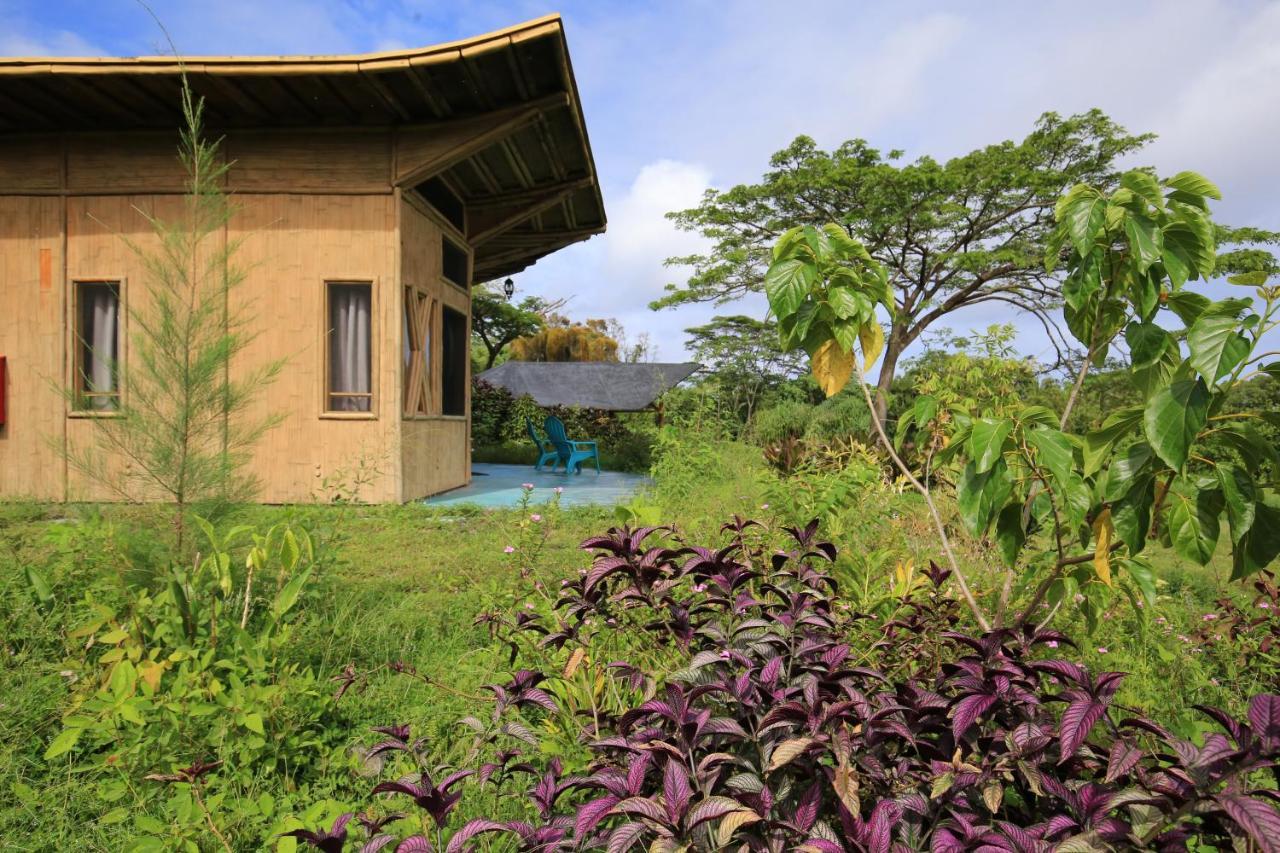 Villa Kalani Oceanside Retreat Pahoa Esterno foto