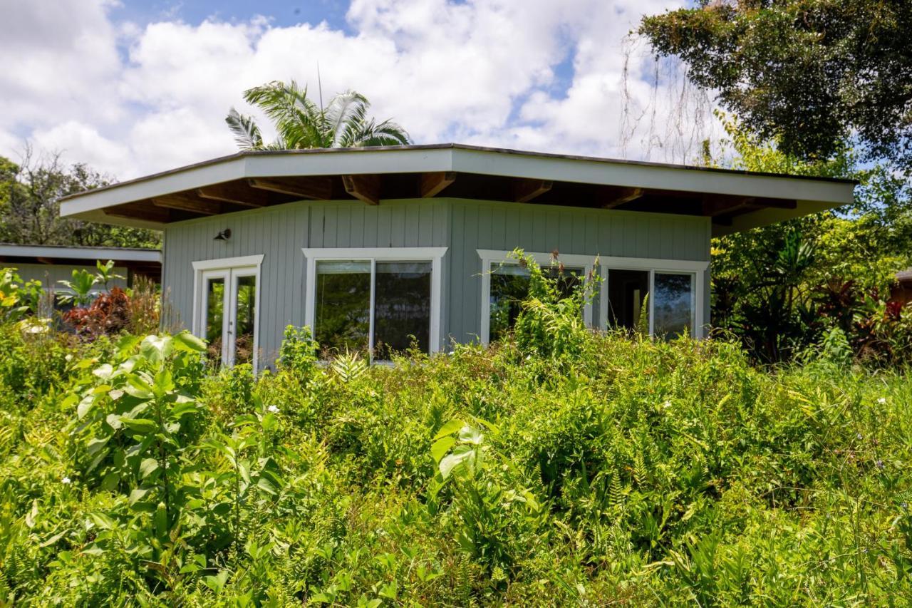 Villa Kalani Oceanside Retreat Pahoa Esterno foto