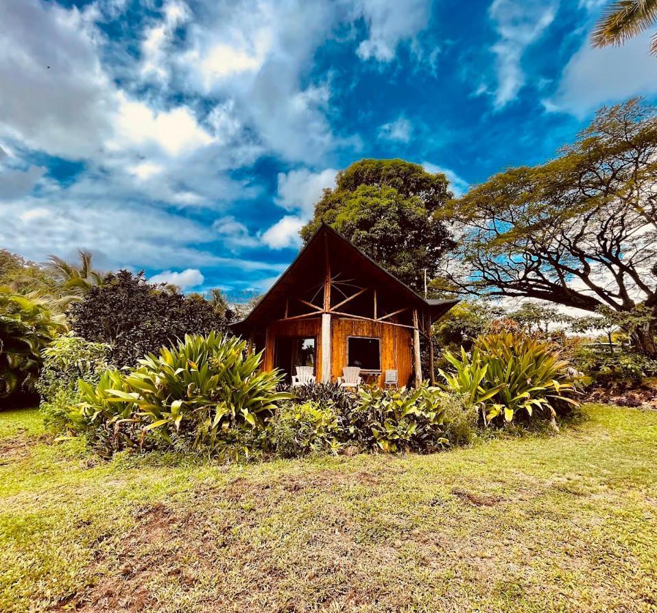 Villa Kalani Oceanside Retreat Pahoa Esterno foto